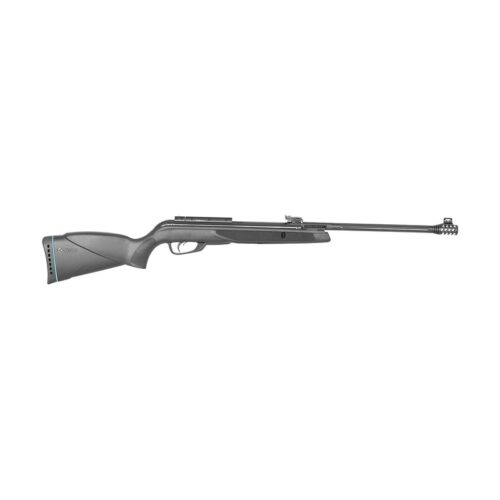 Gamo Black Bear