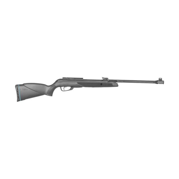 Gamo Black Bear