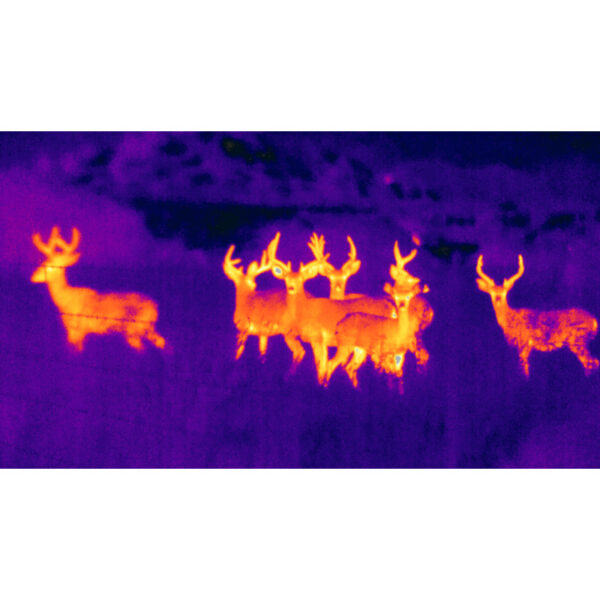 ThermTec Wild 650L (LRF) - Afbeelding 6